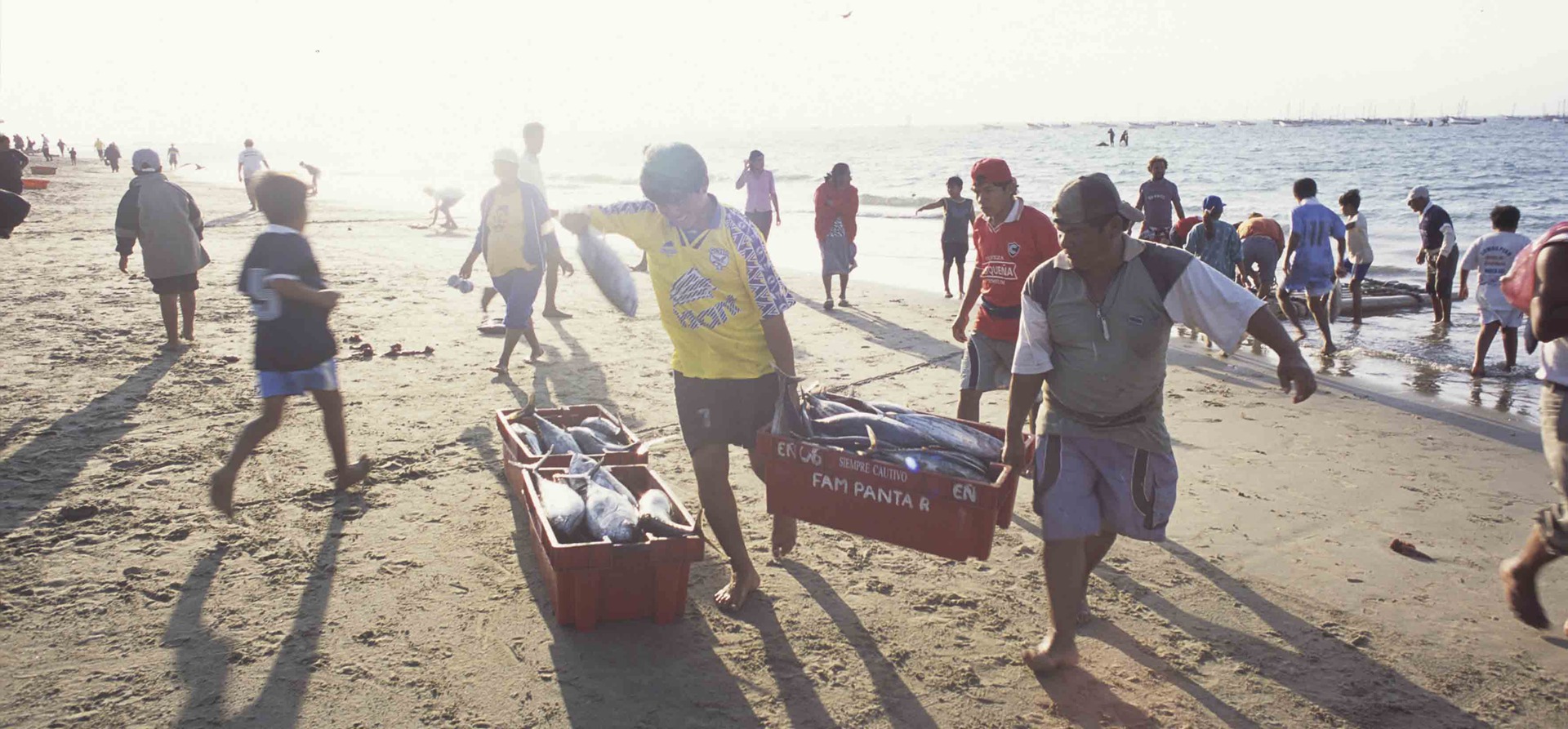 en las caletas de perscadores de la costa del Pacífico